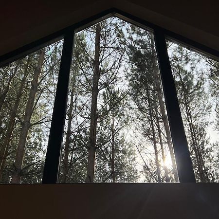 Domek Szumisosna2 Zyciny Luaran gambar